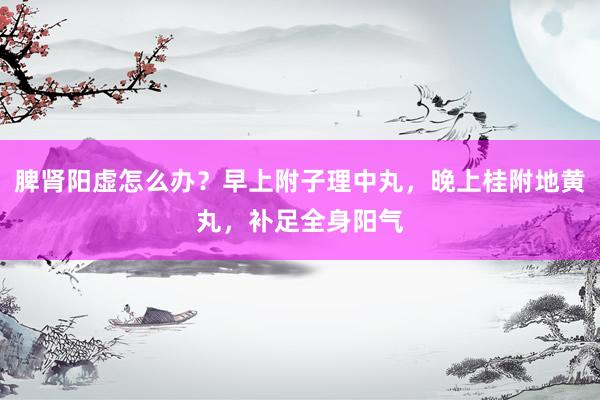 脾肾阳虚怎么办？早上附子理中丸，晚上桂附地黄丸，补足全身阳气