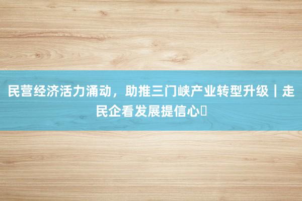 民营经济活力涌动，助推三门峡产业转型升级｜走民企看发展提信心㉒