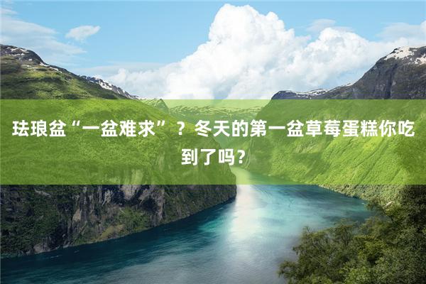 珐琅盆“一盆难求” ？冬天的第一盆草莓蛋糕你吃到了吗？